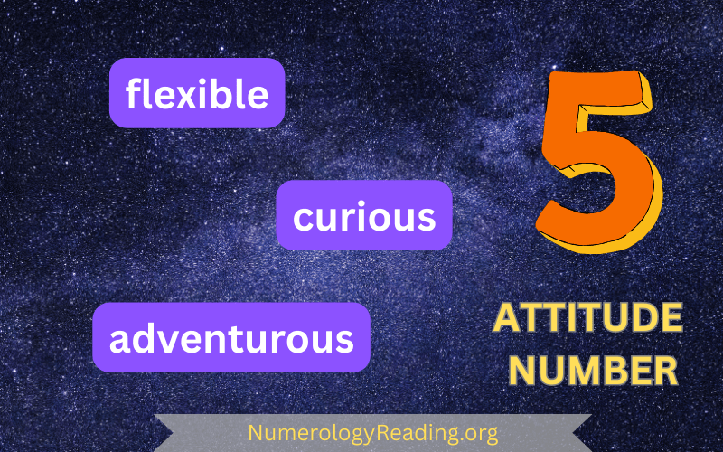 Attitude Number 5 – Flexible, Curious, and Adventurous