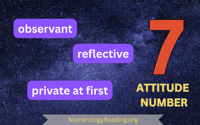 Attitude Number 7 – Observant, Reflective, and Private at first
