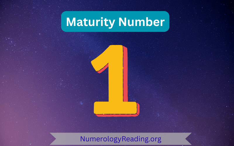 Maturity Number 1 – Leadership, Independence, and Initiative