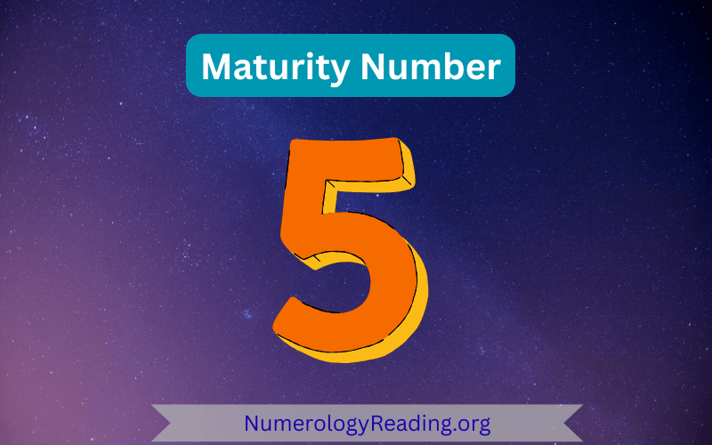 Maturity Number 5 – Freedom, Adaptability, and Exploration