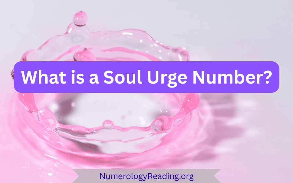 What is a Birth Day Number in numerology and what it says about you