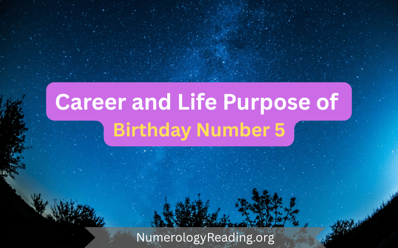 Career and life purpose of Birthday Number 5 with good-fit fields, strengths, and purpose