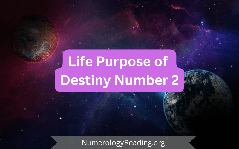 Life purpose of Destiny Number 2 image — harmony, cooperation, diplomacy, and building supportive partnerships in numerology.