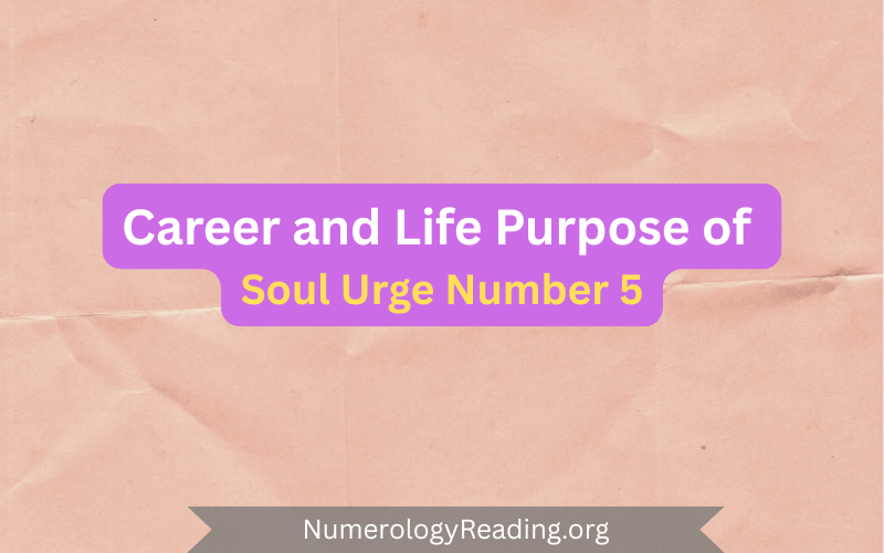 Soul Urge Number 5 in career and life purpose – potential career paths and meaning